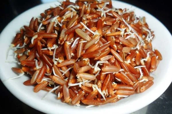 Cách nấu gạo lứt ngon